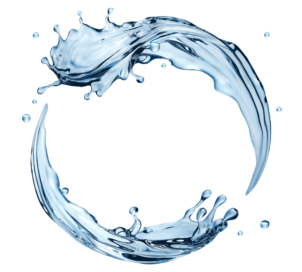 The Car Wash Palace Go Unlimited All Year Long in Central Florida